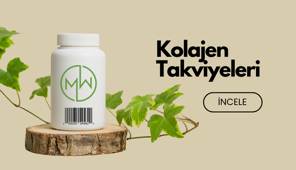Koltuk Takımları
