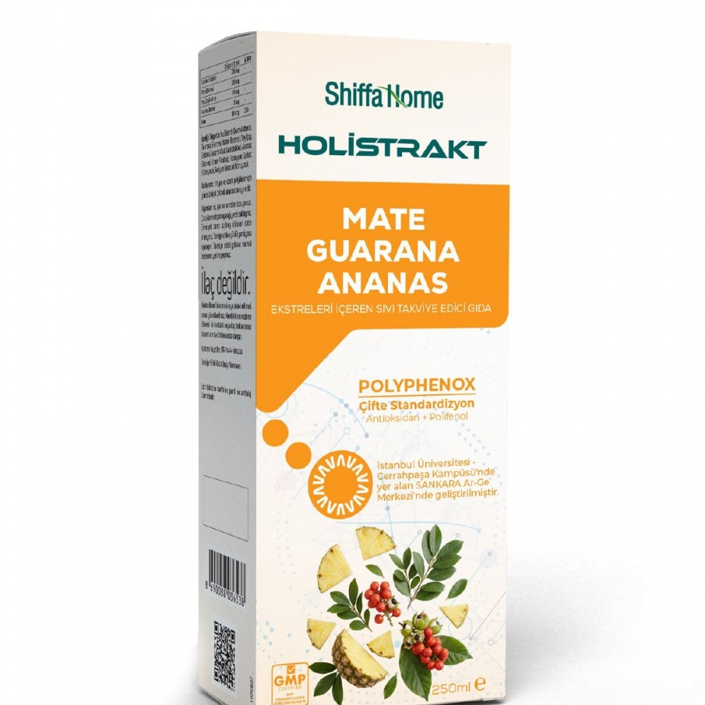 HOLİSTRAKT - Guarana, Mate, Yeşil Çay, Ananas İçeren Sıvı Ekstrat 250 ML
